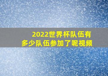 2022世界杯队伍有多少队伍参加了呢视频