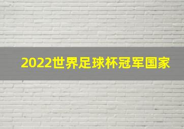 2022世界足球杯冠军国家