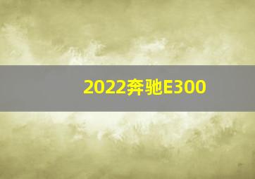 2022奔驰E300