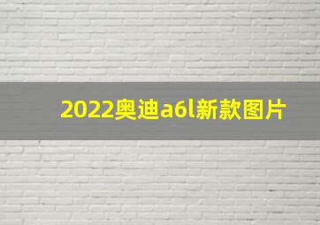 2022奥迪a6l新款图片