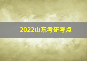 2022山东考研考点