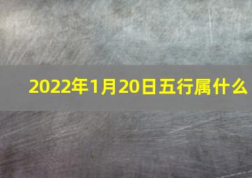 2022年1月20日五行属什么