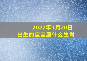 2022年1月20日出生的宝宝属什么生肖