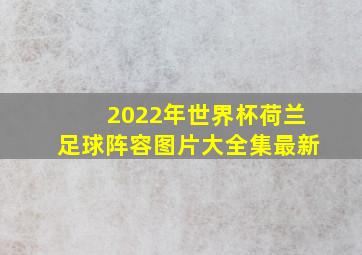 2022年世界杯荷兰足球阵容图片大全集最新