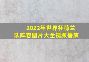 2022年世界杯荷兰队阵容图片大全视频播放