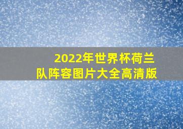 2022年世界杯荷兰队阵容图片大全高清版