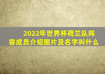 2022年世界杯荷兰队阵容成员介绍图片及名字叫什么