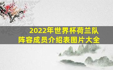 2022年世界杯荷兰队阵容成员介绍表图片大全