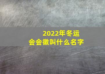 2022年冬运会会徽叫什么名字