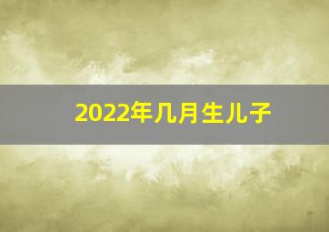 2022年几月生儿子