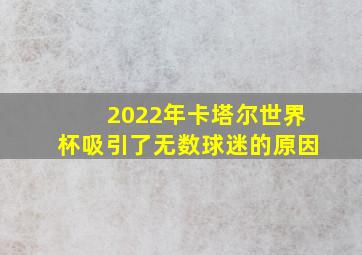 2022年卡塔尔世界杯吸引了无数球迷的原因