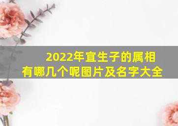 2022年宜生子的属相有哪几个呢图片及名字大全