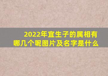 2022年宜生子的属相有哪几个呢图片及名字是什么