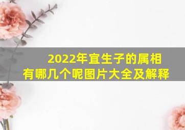 2022年宜生子的属相有哪几个呢图片大全及解释