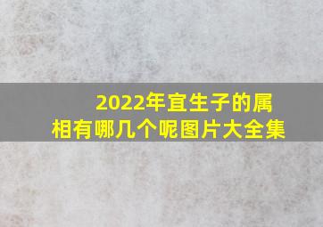 2022年宜生子的属相有哪几个呢图片大全集