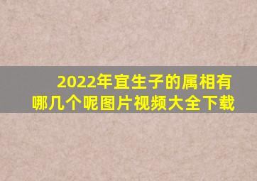 2022年宜生子的属相有哪几个呢图片视频大全下载