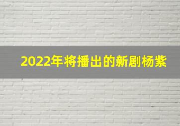 2022年将播出的新剧杨紫