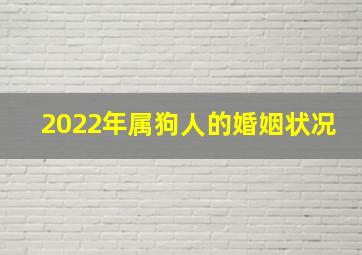 2022年属狗人的婚姻状况