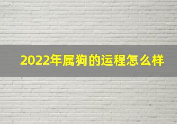 2022年属狗的运程怎么样