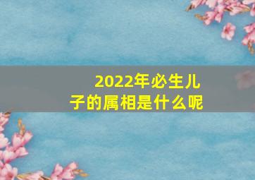 2022年必生儿子的属相是什么呢