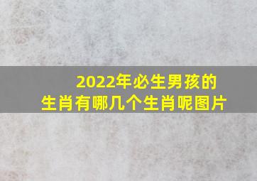 2022年必生男孩的生肖有哪几个生肖呢图片