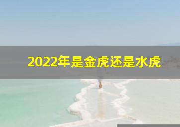 2022年是金虎还是水虎