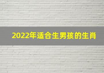 2022年适合生男孩的生肖