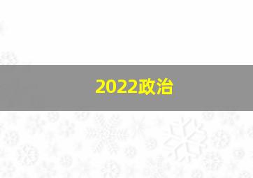 2022政治