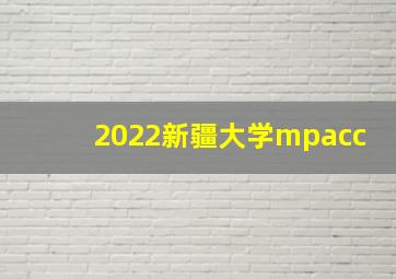 2022新疆大学mpacc