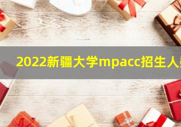 2022新疆大学mpacc招生人数