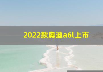 2022款奥迪a6l上市