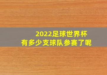 2022足球世界杯有多少支球队参赛了呢