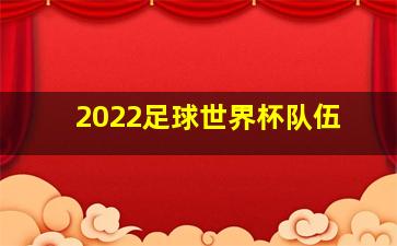 2022足球世界杯队伍