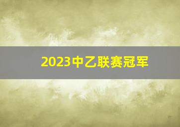 2023中乙联赛冠军