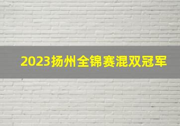 2023扬州全锦赛混双冠军