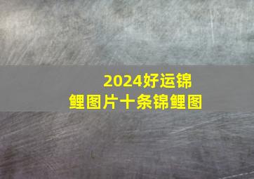 2024好运锦鲤图片十条锦鲤图