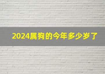 2024属狗的今年多少岁了