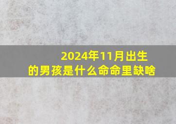 2024年11月出生的男孩是什么命命里缺啥