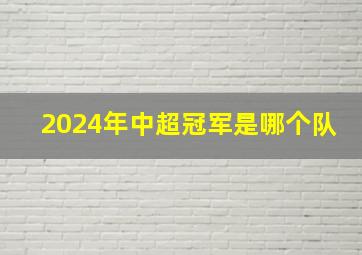 2024年中超冠军是哪个队