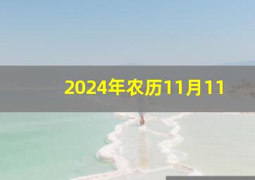 2024年农历11月11