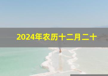 2024年农历十二月二十