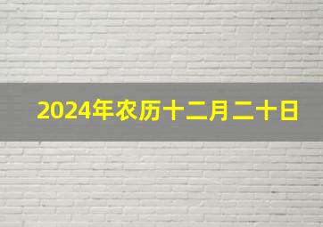 2024年农历十二月二十日