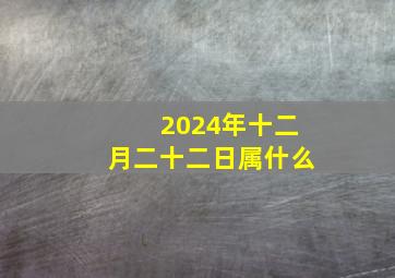 2024年十二月二十二日属什么