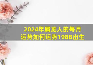 2024年属龙人的每月运势如何运势1988出生