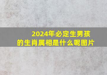 2024年必定生男孩的生肖属相是什么呢图片