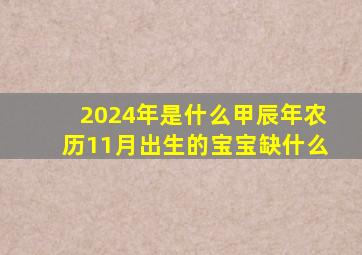 2024年是什么甲辰年农历11月出生的宝宝缺什么