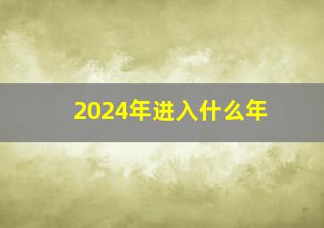 2024年进入什么年