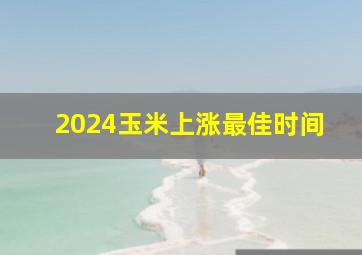 2024玉米上涨最佳时间