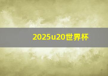 2025u20世界杯