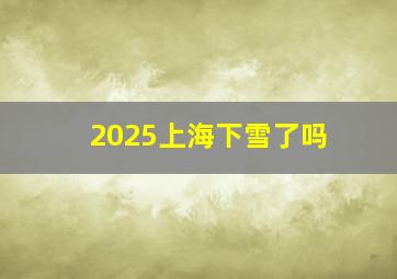 2025上海下雪了吗